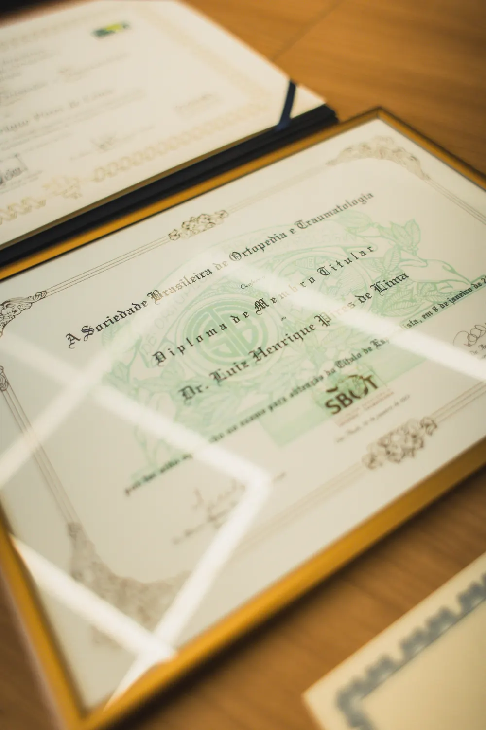 Certificado de titulação do Dr. Luiz Henrique Pires de Lima 4
