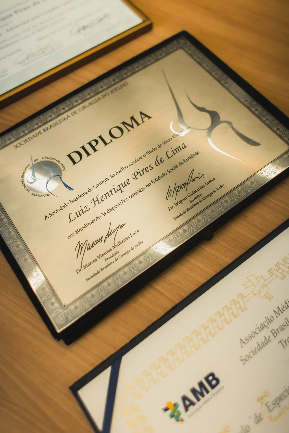 Certificado de titulação do Dr. Luiz Henrique Pires de Lima 5